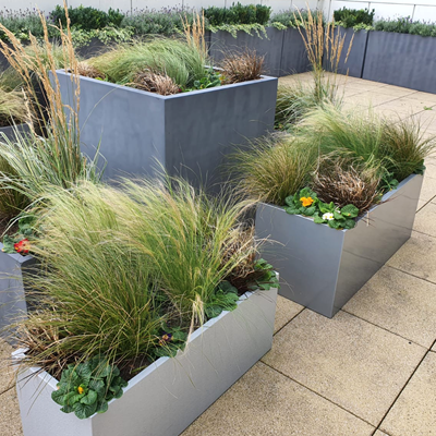 Office Head Quarters Roof Garden 